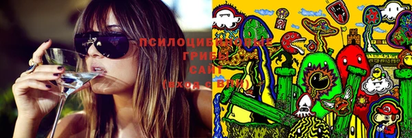 PSILOCYBIN Богданович