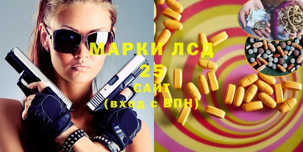PSILOCYBIN Богданович
