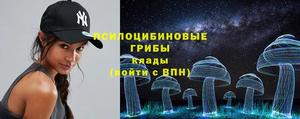 PSILOCYBIN Богданович