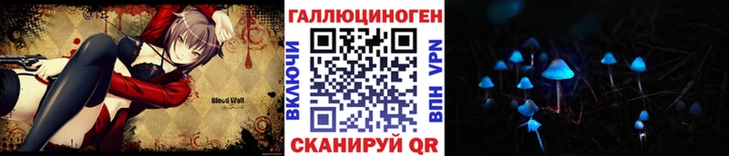 где найти   Невель  Галлюциногенные грибы MAGIC MUSHROOMS 
